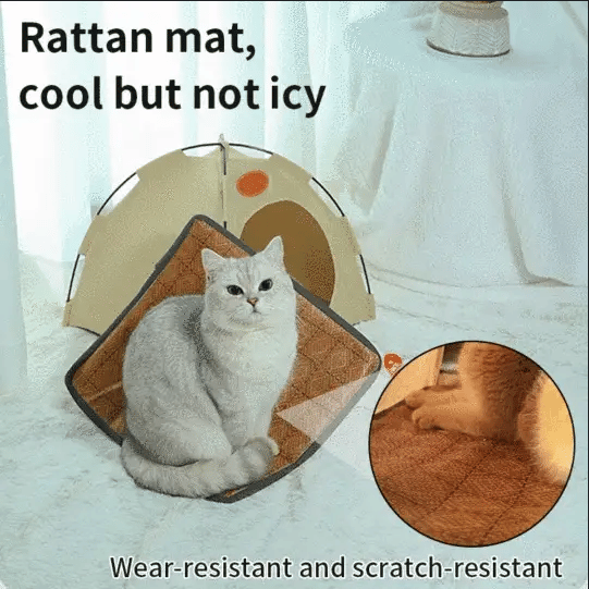 🐱Pet Tent Nest🐱