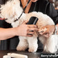 Best Seller💥Pet Professional Brush🐕
