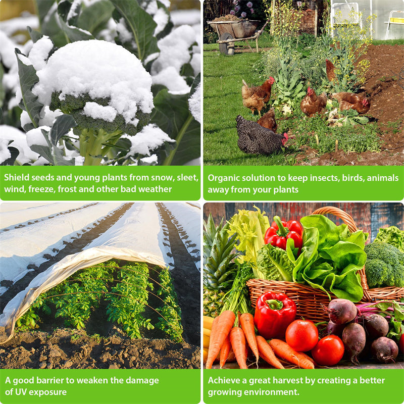 🔥Clear Greenhouse Plastic Sheeting