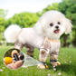 50% OFF 🔥 Outdoor Dust-Proof Dog Pants ✅