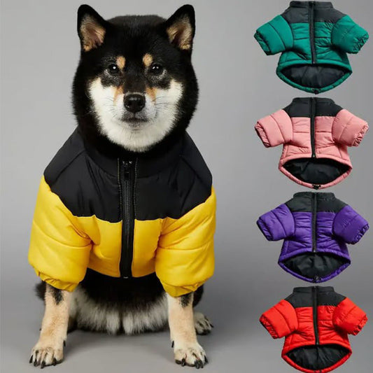 Winter Warm Dog Jacket with Smooth Zipper